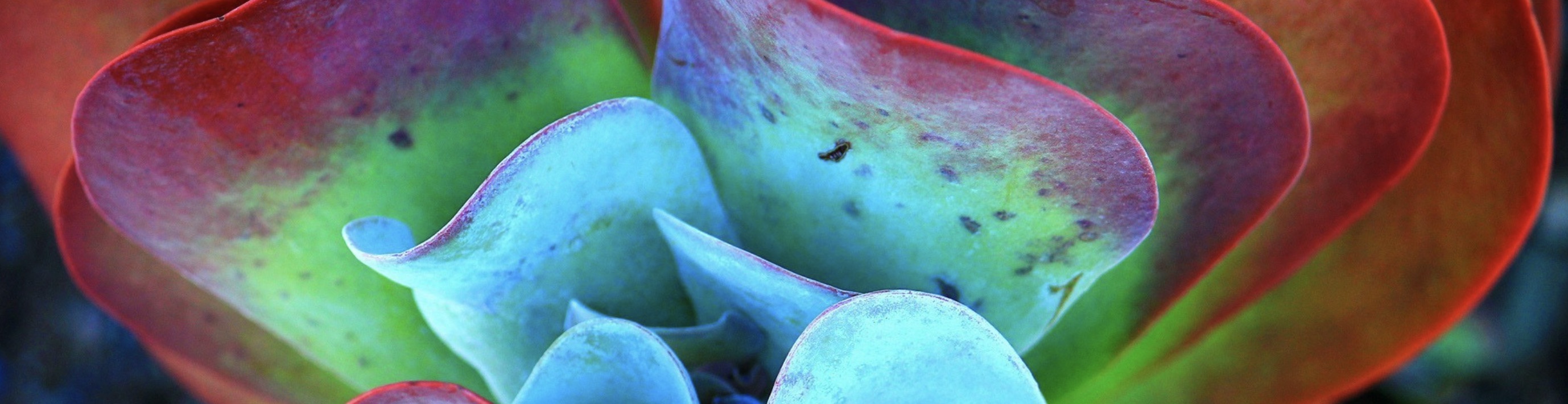 Screenshot 2025-02-27 at 12.13.36